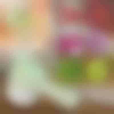 4-v-1 ročni električni sekljalnik | ROTOCHOP