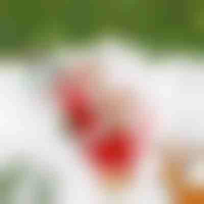 Glasbeni Božiček na vrvi SANTACLIMB