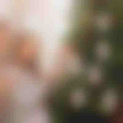 Božični okraski z mestom za denar (4 kosi) | WEALTHMAS