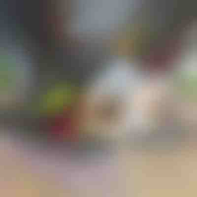 Sekljalnik in rezalnik zelenjave 12 v 1 | CHOPMASTER