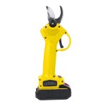 WHIZZPRUNER