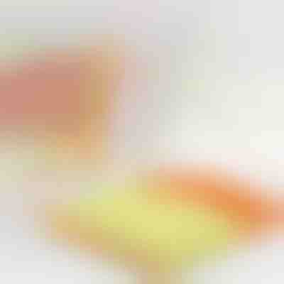 Čistilec žaluzij, ki prepolovi čas čiščenja | BLINDY