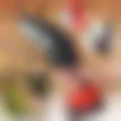 Akumulatorska ročna žaga BRENCHIE