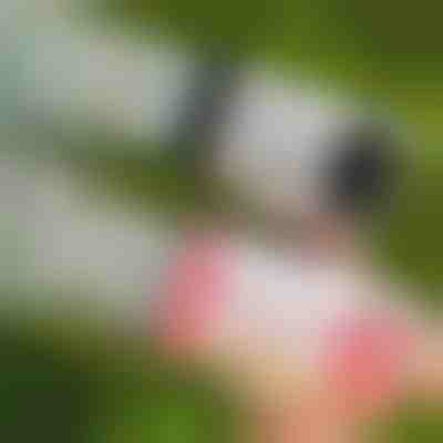 LED pištola za milne mehurčke z 69 luknjami | BUBBLEPUFF